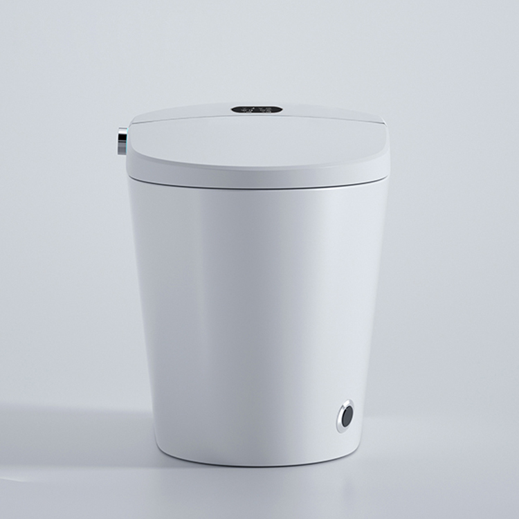 Modern Smart Toilet Digital Di - Home Bathroom Ware 评论和价格