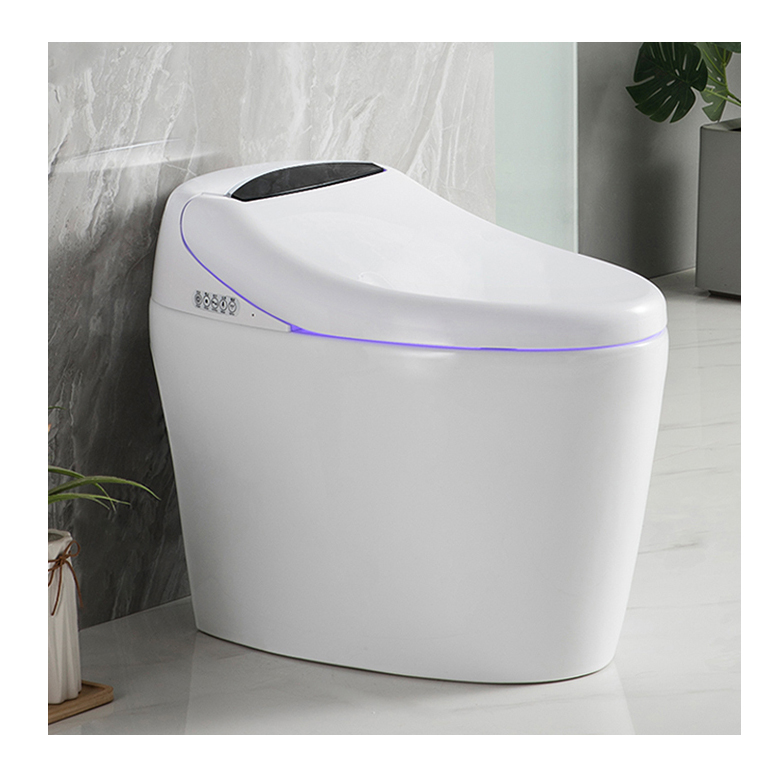 High-end Automatic Flush, Sani - Home Bathroom Ware 评论和价格