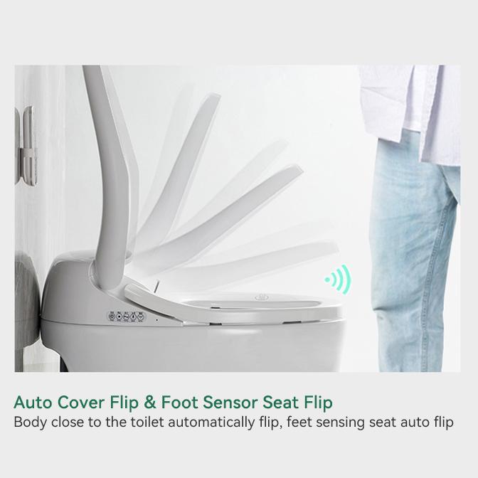 High-end Automatic Flush, Sani - Home Bathroom Ware 评论和价格