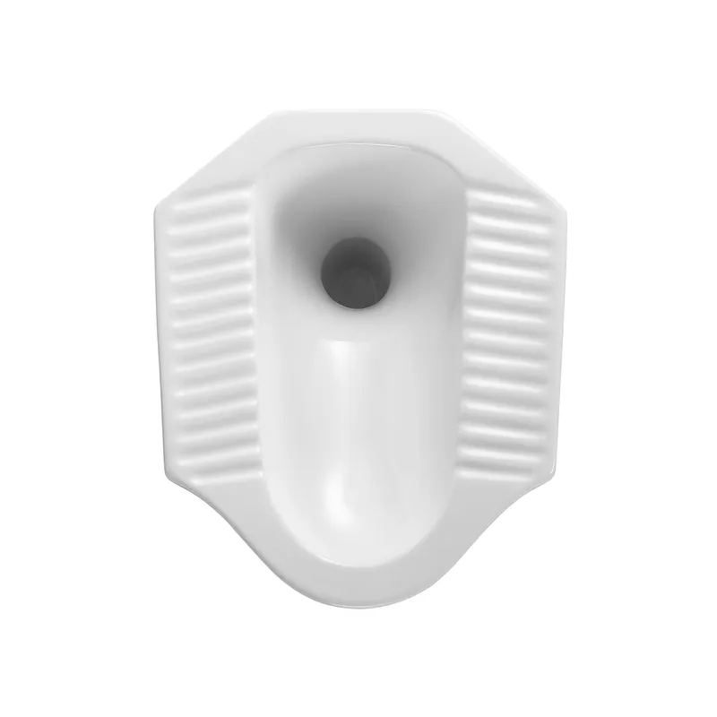 Ceramic Squat Toilet with Seat - Home Bathroom Ware 评论和价格